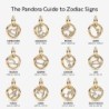 Capricorn Zodiac Dangle Charm