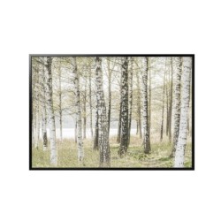 Picture and frame, birches/black